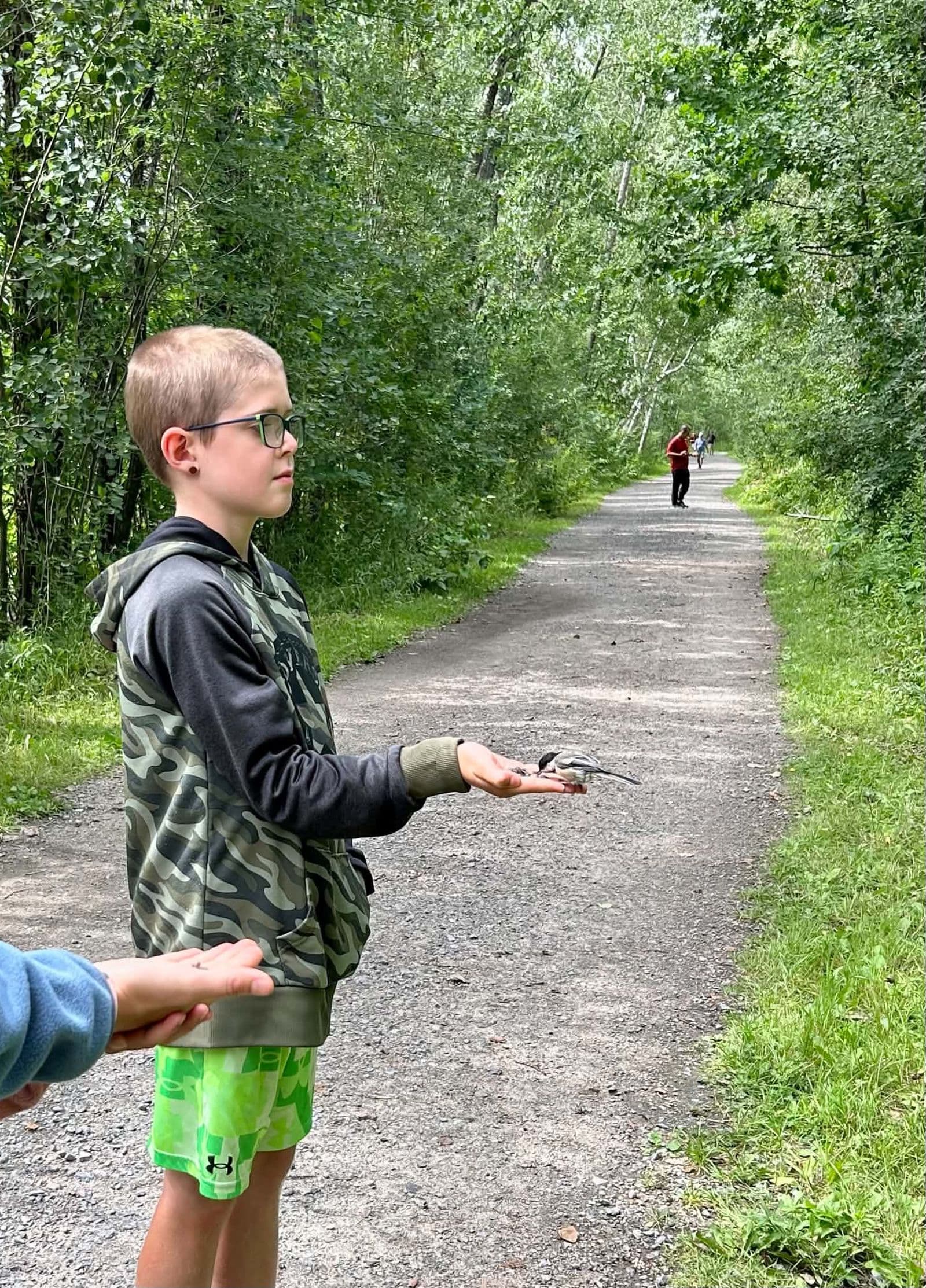 Kid on a forest path with a chickadee perched on his open hand, the kind of trust that builds when bird watching becomes a habit