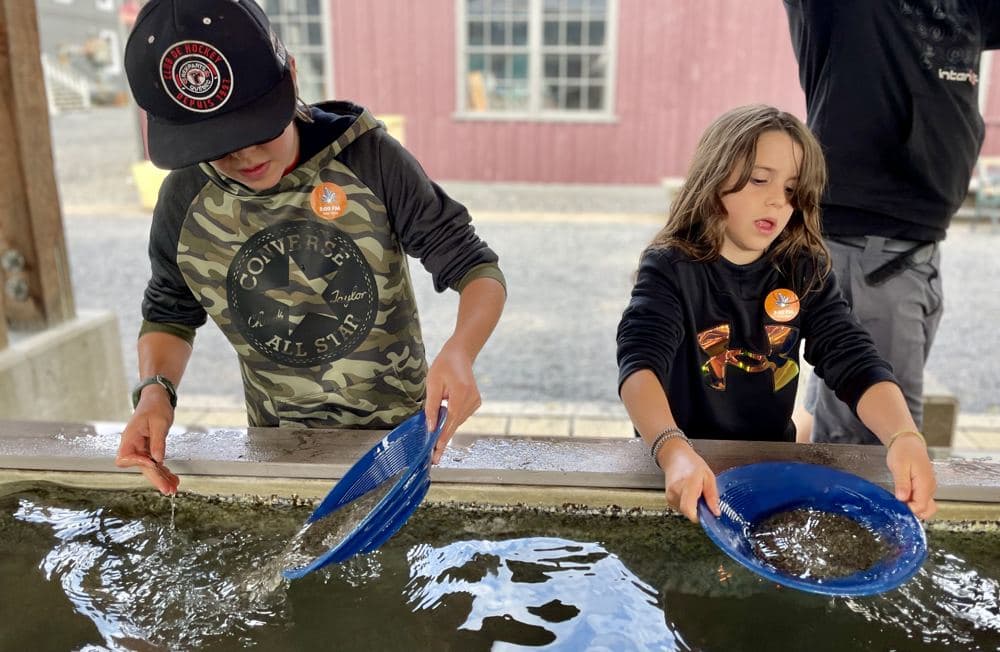 Two kids panning for gold in a water trough