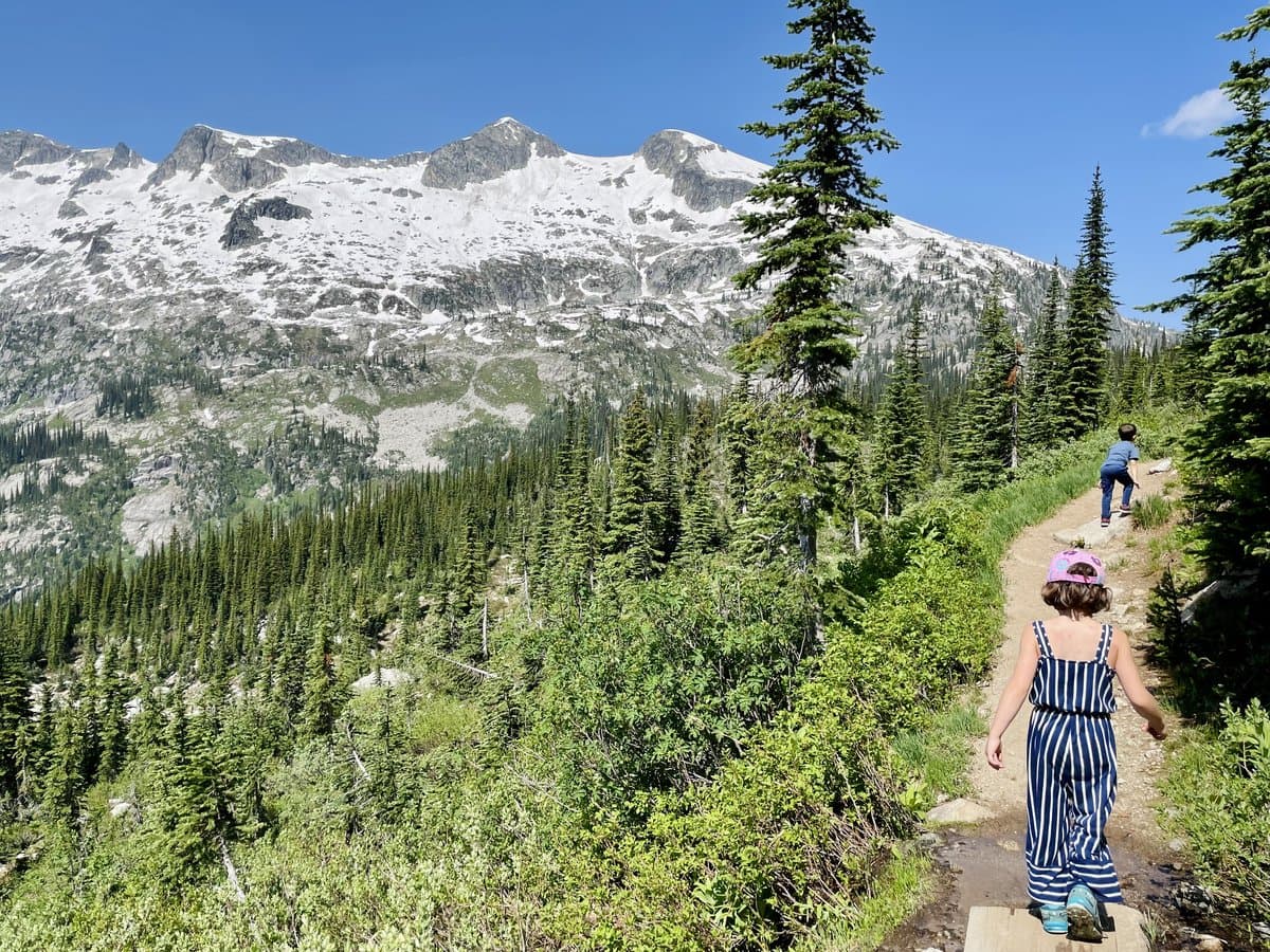 Kids hiking a mountain trail through wildflowers toward snowy peaks, finding their own path