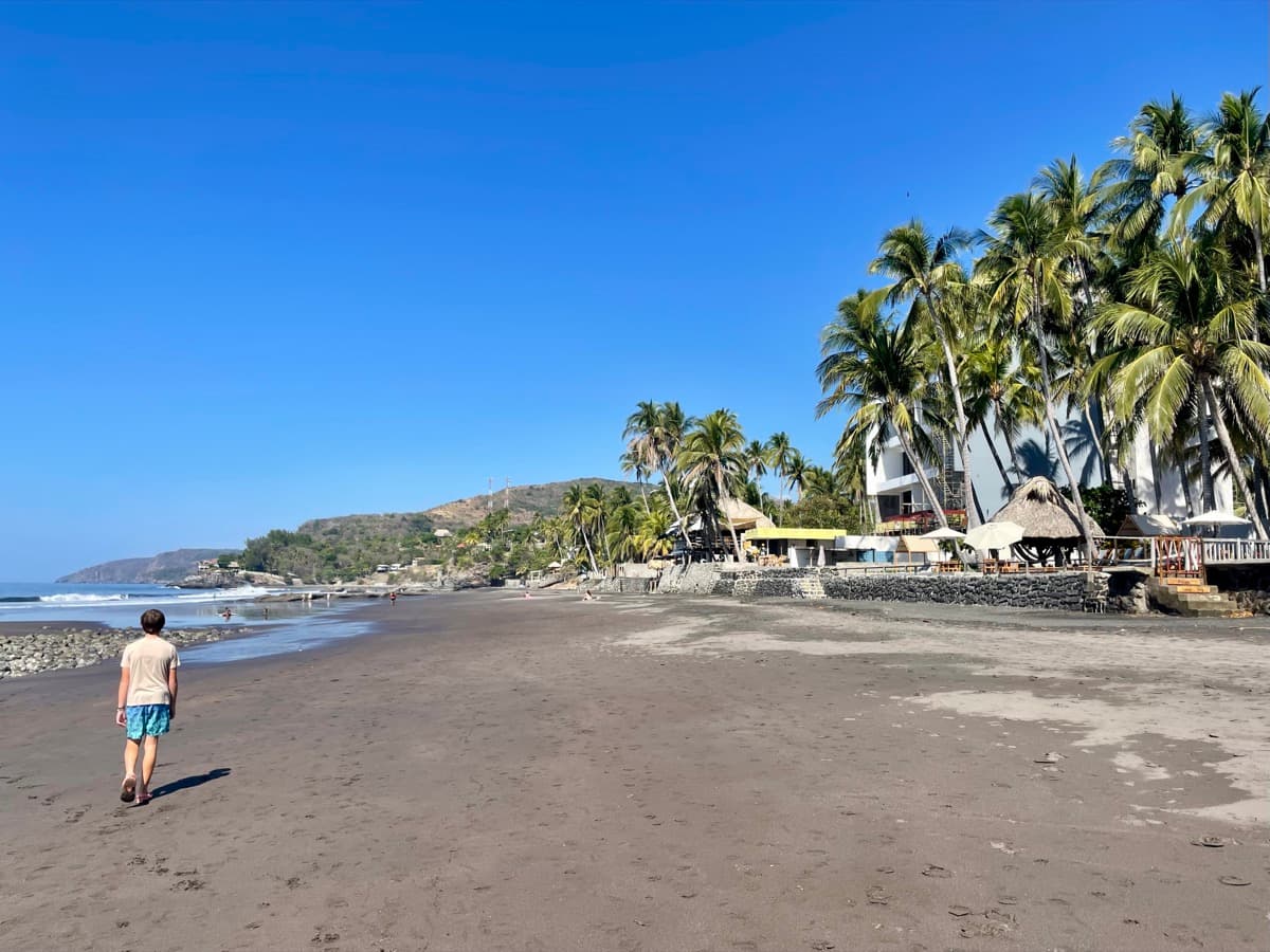 El Zonte beach with palm trees and dark volcanic sand, the surf town that became home