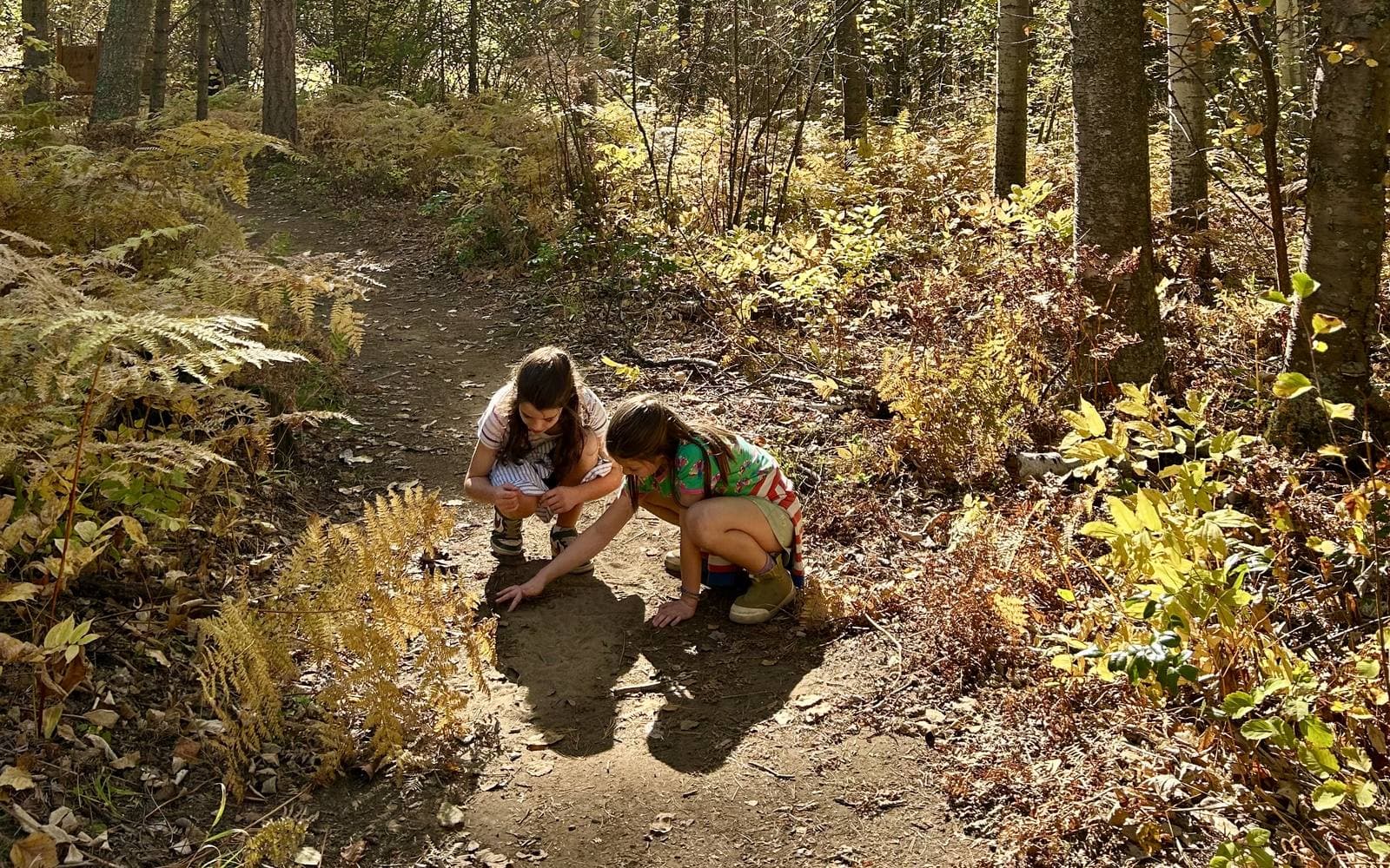 Two girls crouching on a forest trail lined with yellow autumn ferns, looking closely at something on the ground