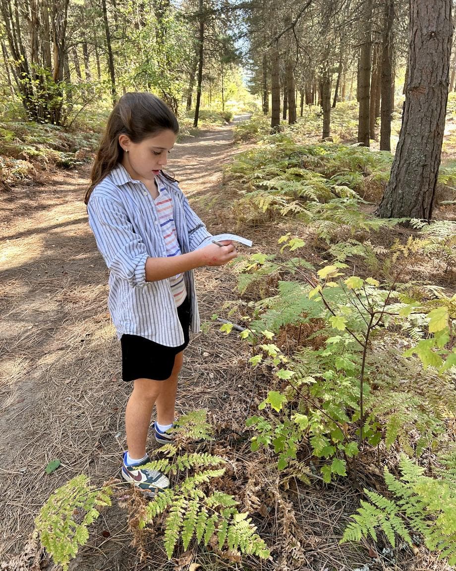 Girl in a striped shirt standing on a forest trail among ferns, reading a small slip of paper in her hand