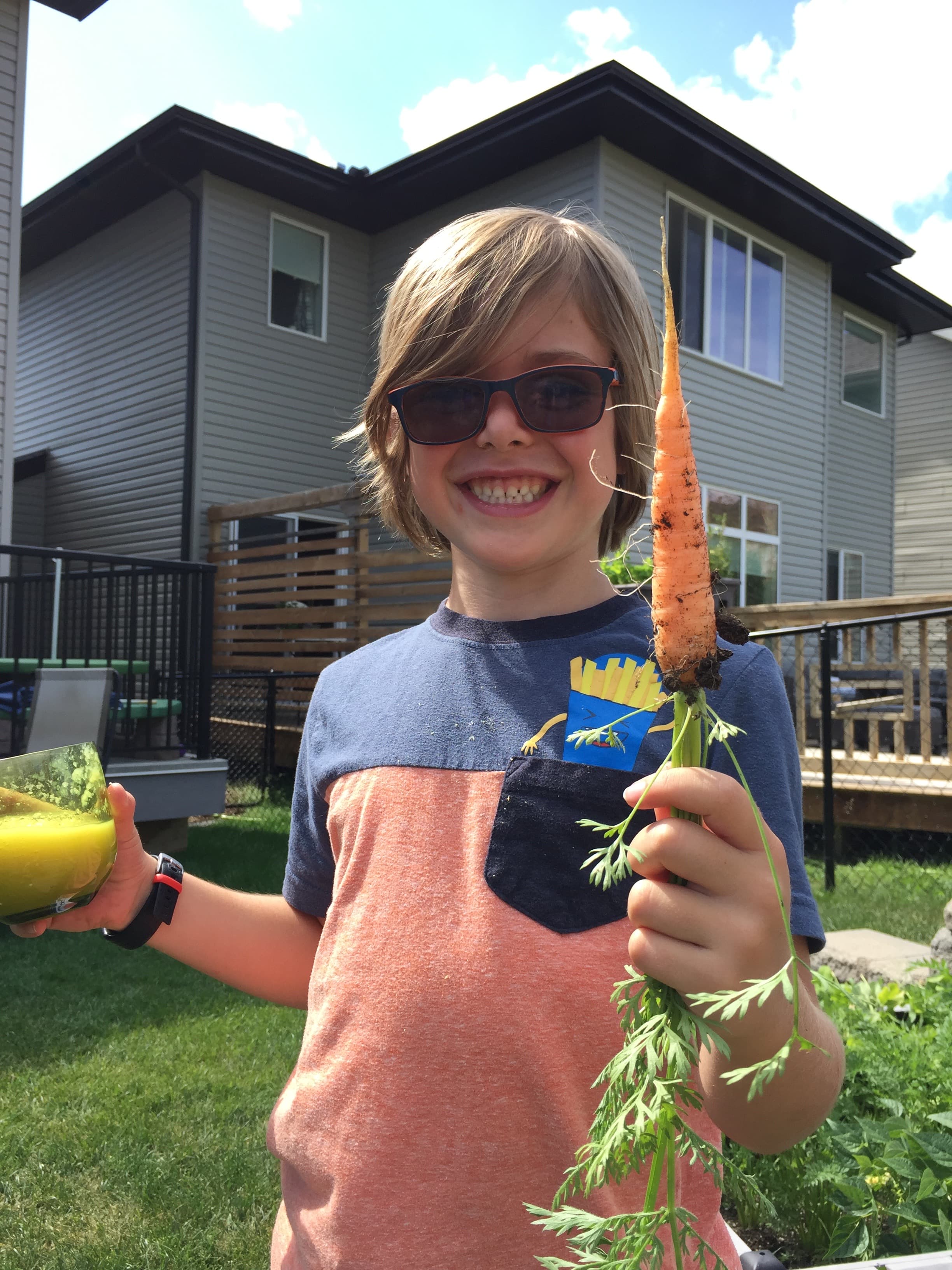 Grinning kid holding up a freshly pulled carrot from the backyard garden on a sunny summer day