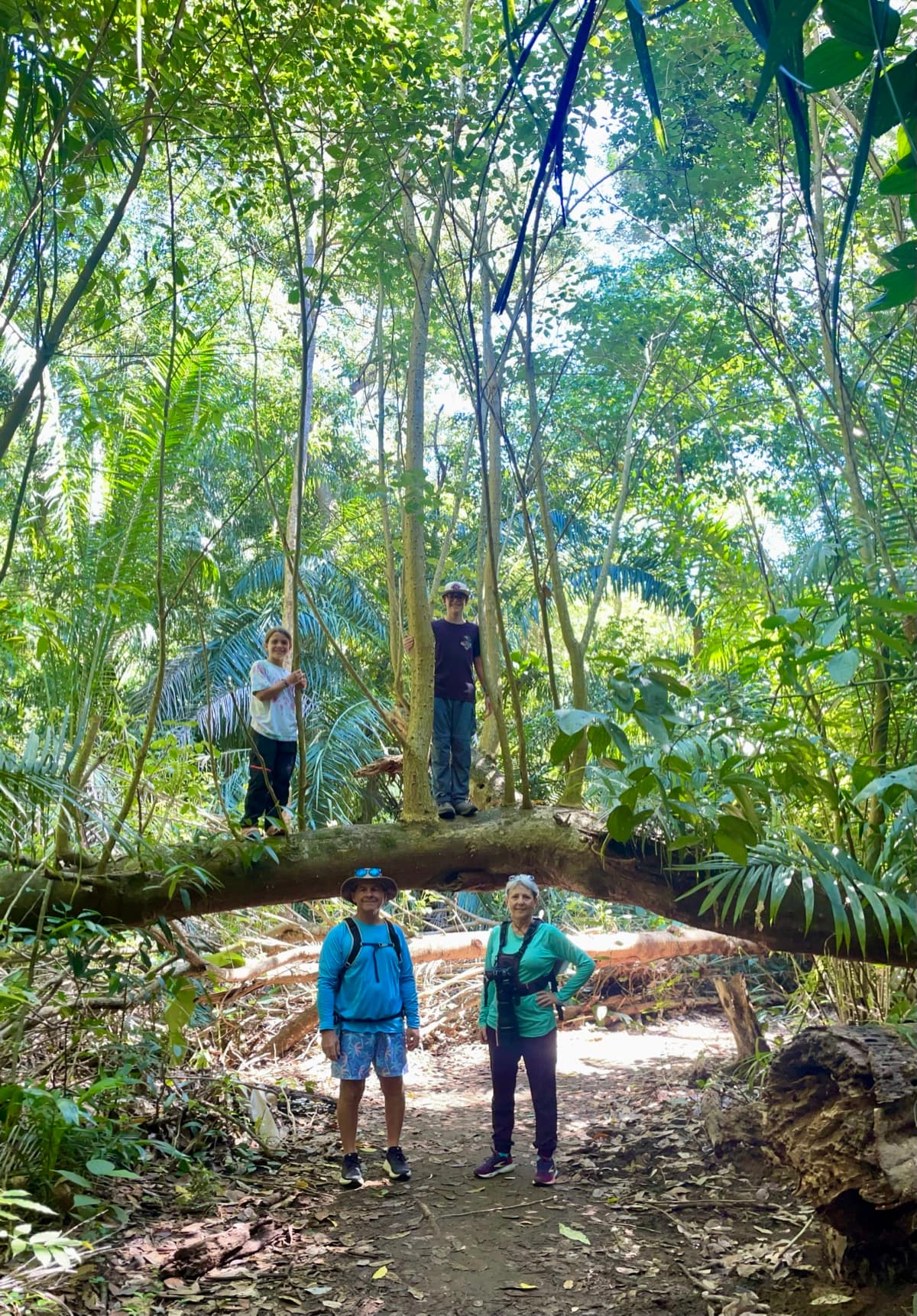 Family hiking through a Costa Rica jungle, kids balancing on a fallen tree while Papi et Mamie pose below