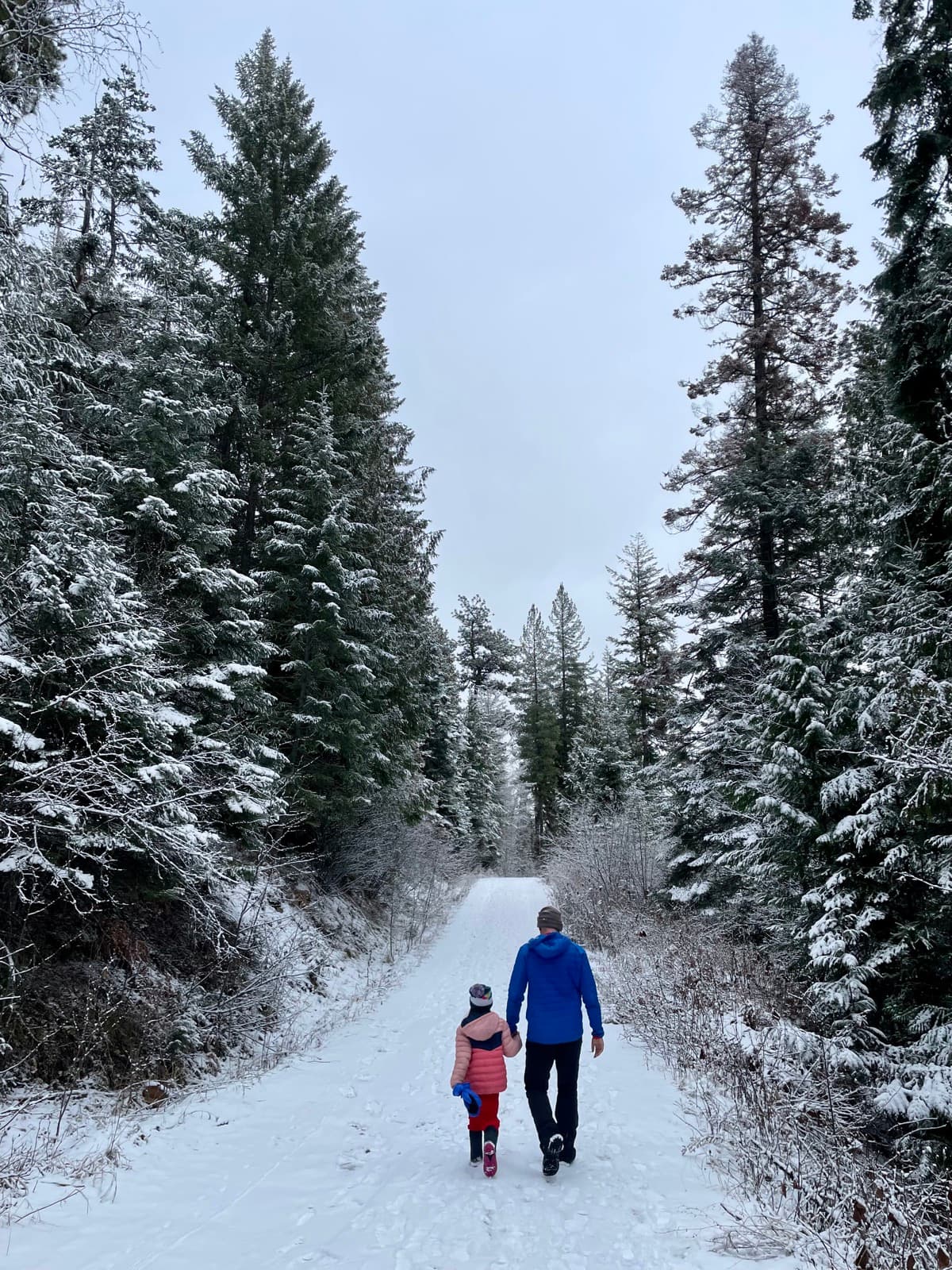Parent and child walking hand in hand down a snowy forest path