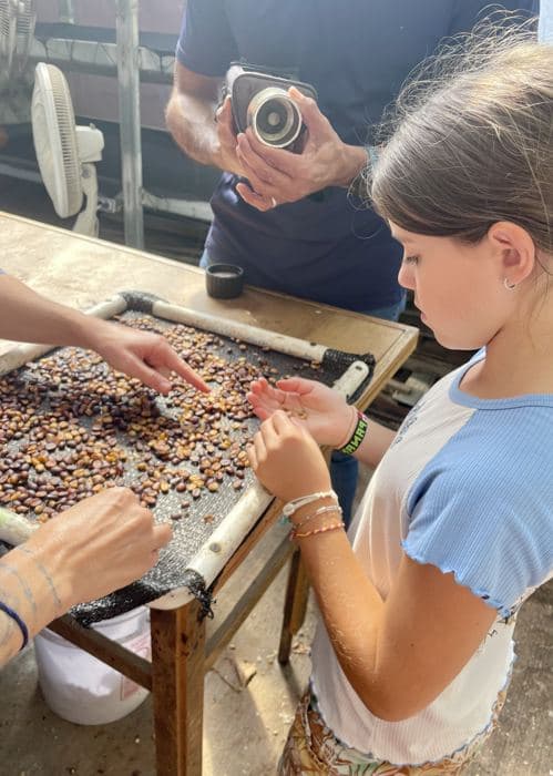 A girl sorting cacao beans on a tray