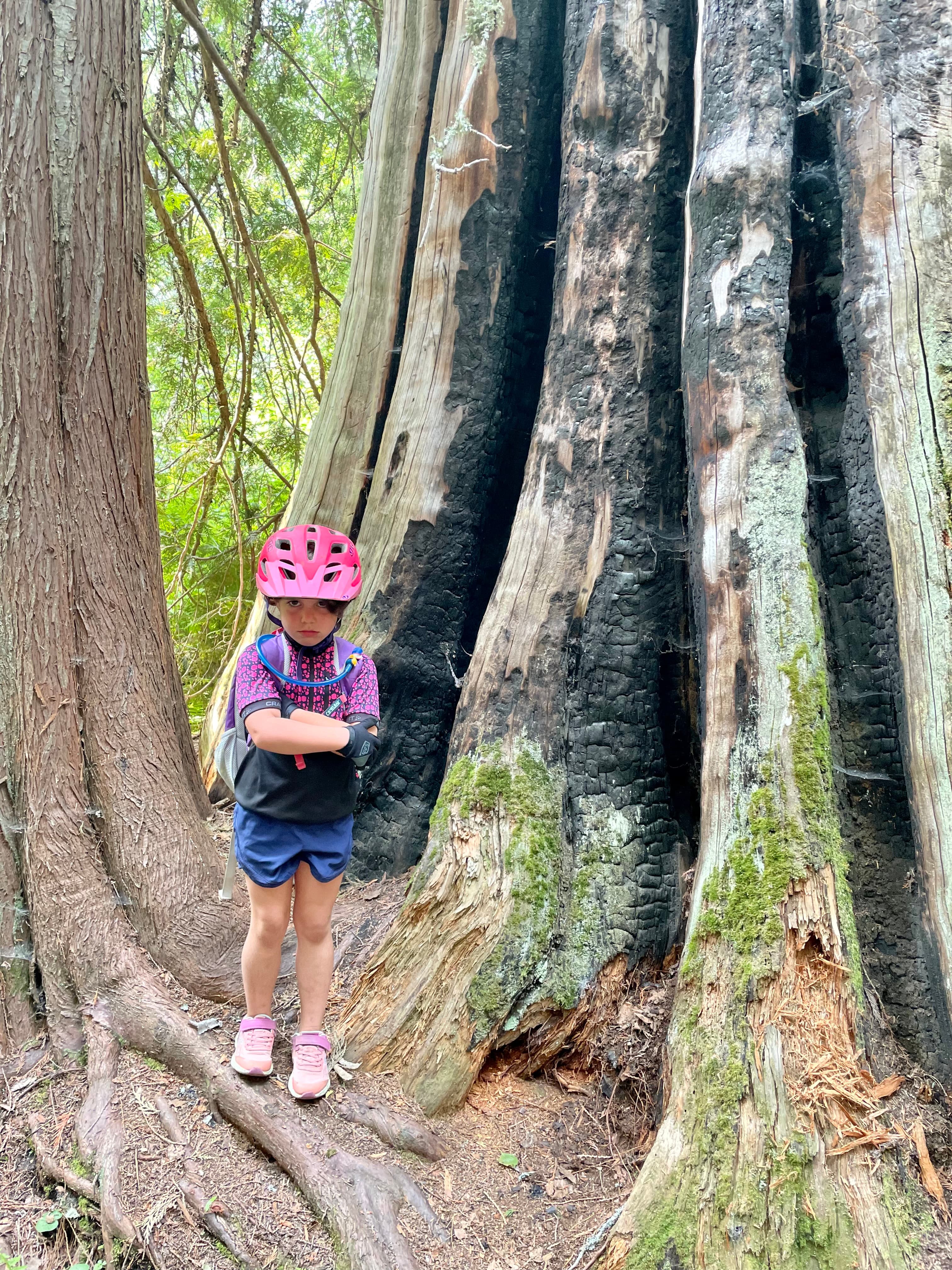 Young girl standing with arms crossed in front of a giant cedar tree