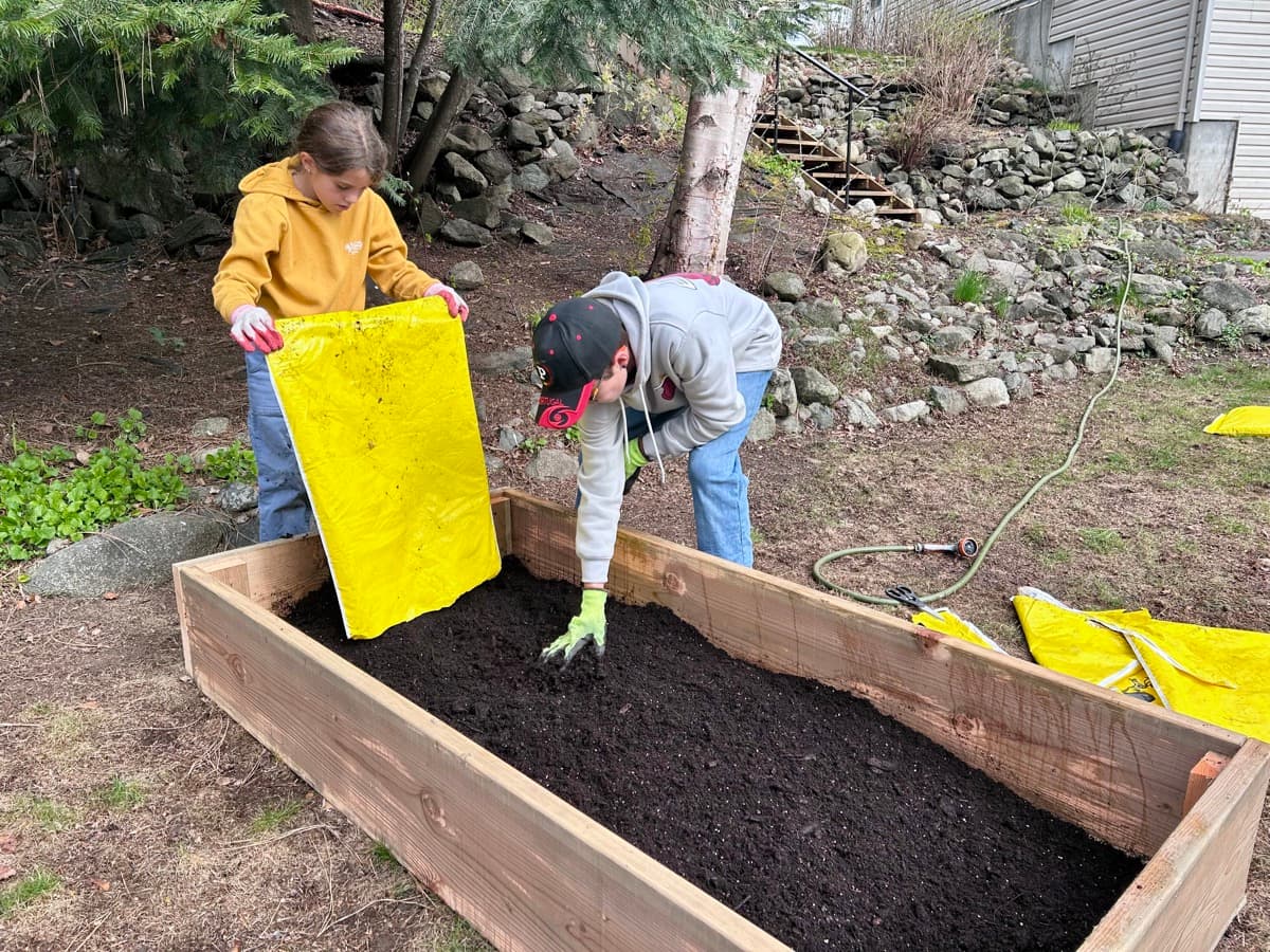 Two kids working together to fill a raised garden bed with soil