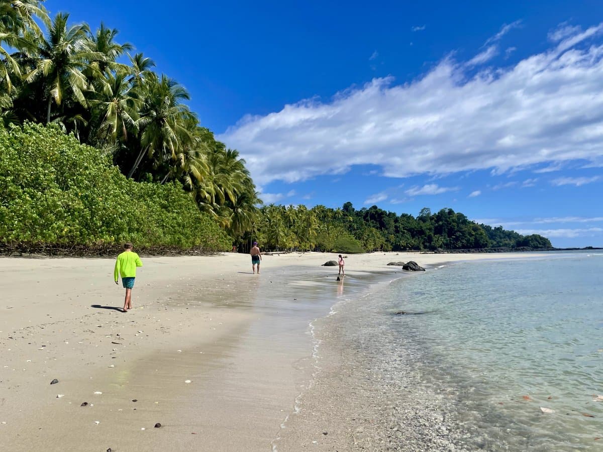 Family walking on a white sand tropical beach with palm trees, exploring the world together