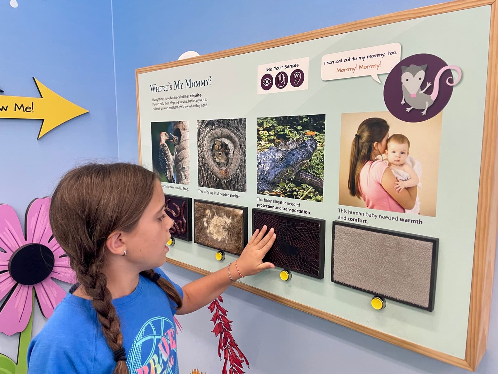 A girl reading the label on a museum exhibit panel, pointing at one of the photos, the kind of close reading a home museum project teaches