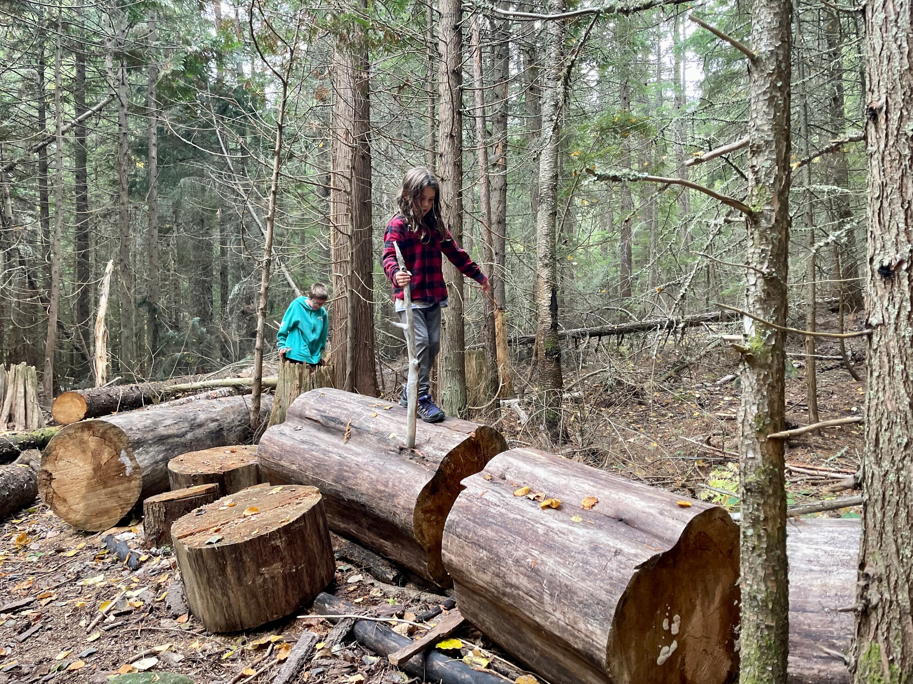 Boy reading a book in a camp chair at a lakeside beach on a sunny afternoon