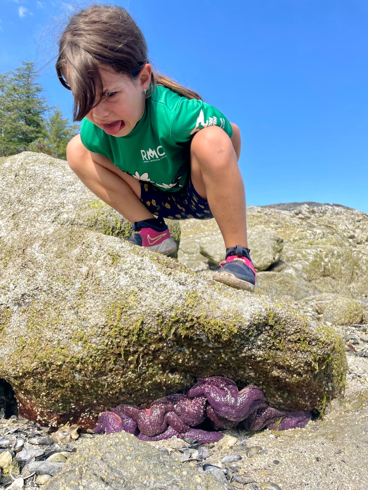 Girl discovering a purple starfish under a rock on a coastal shore