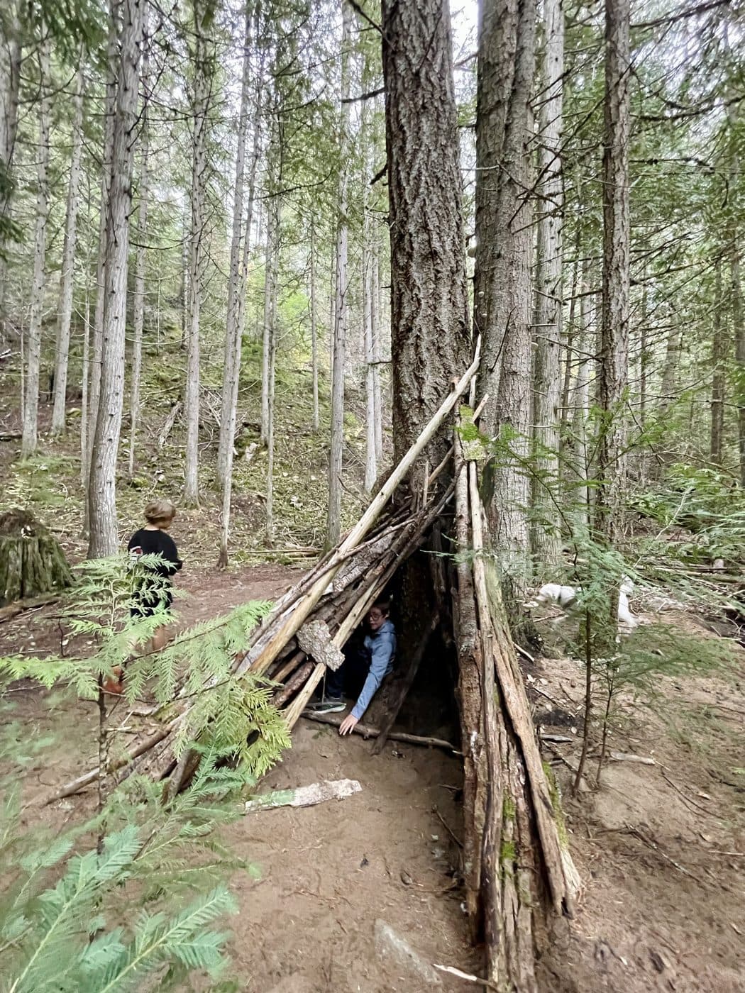 Two children building a lean-to shelter from long sticks propped against a large tree trunk in a forest