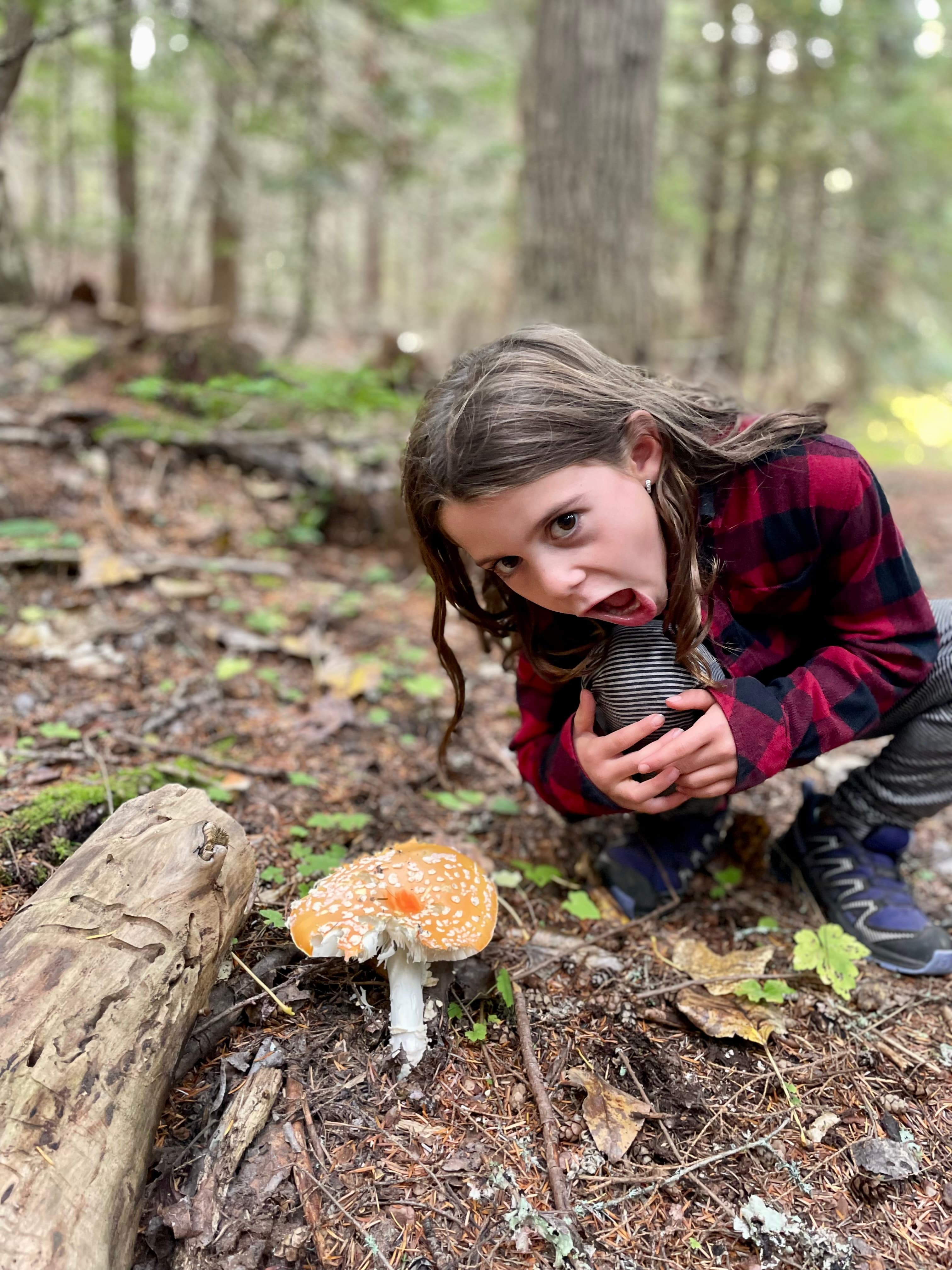 Child crouching down to examine a bright orange mushroom on the forest floor