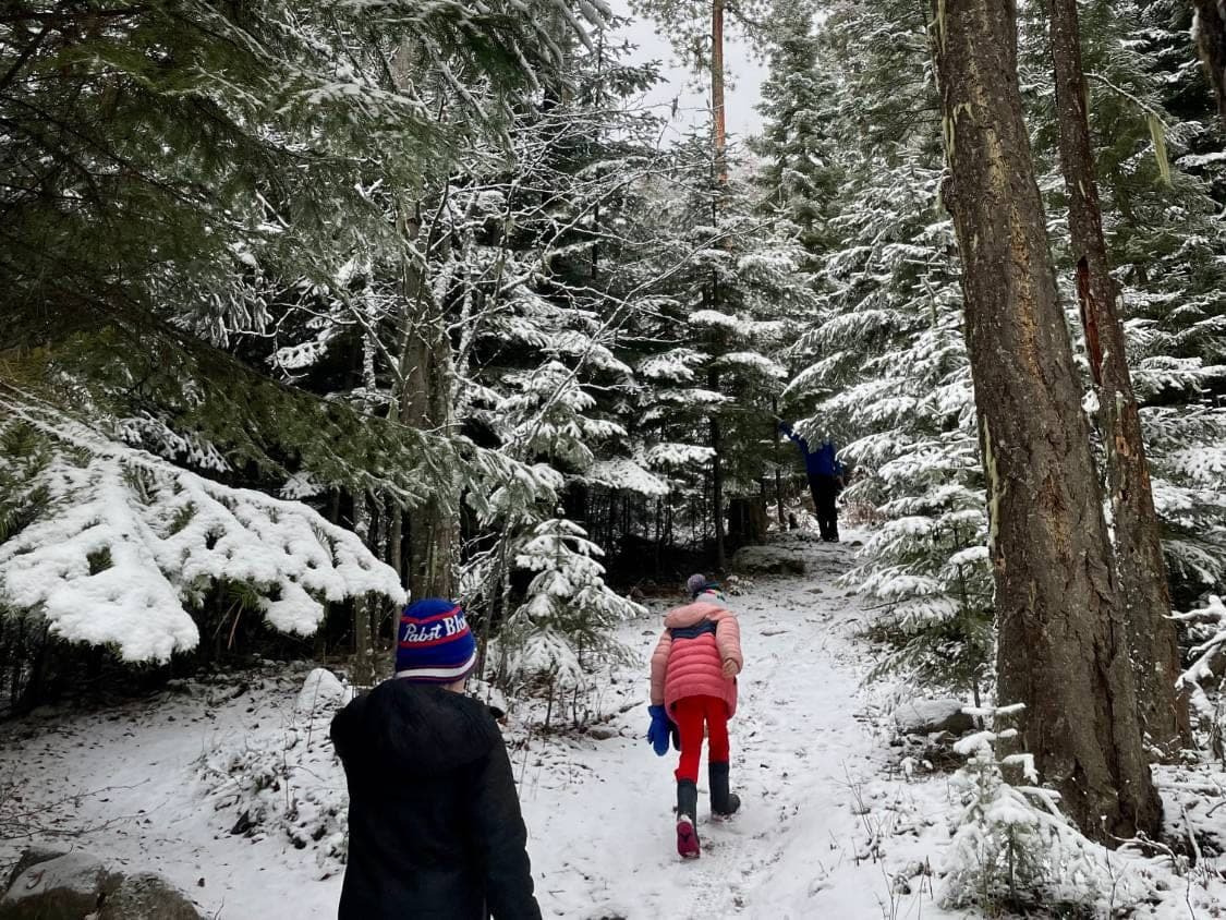 Two kids walking up a snowy forest trail between tall snow-covered evergreens, an adult a little way ahead