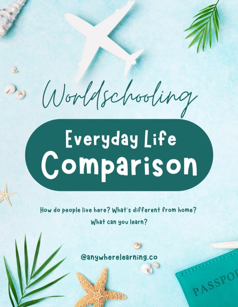 Everyday Life Comparison