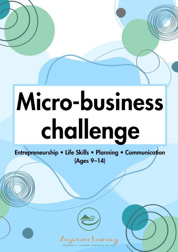 Micro-Business Challenge