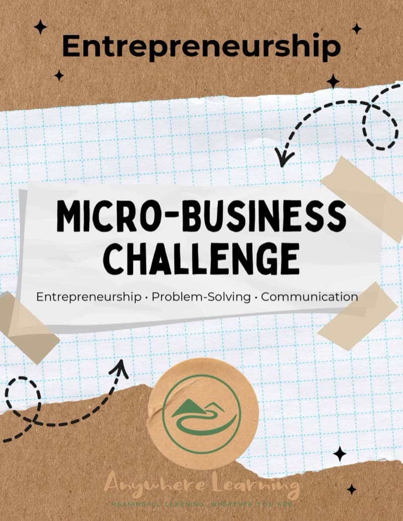 Micro-Business Challenge