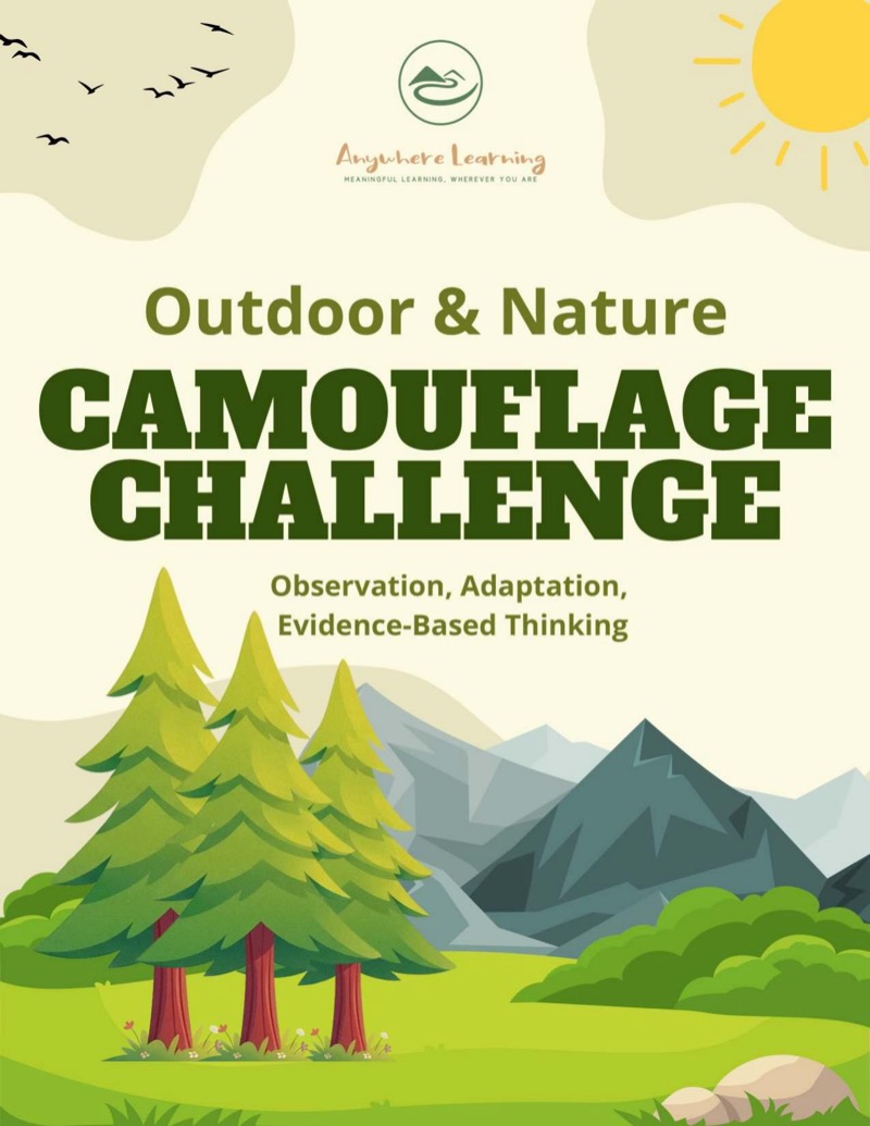 Camouflage Challenge cover