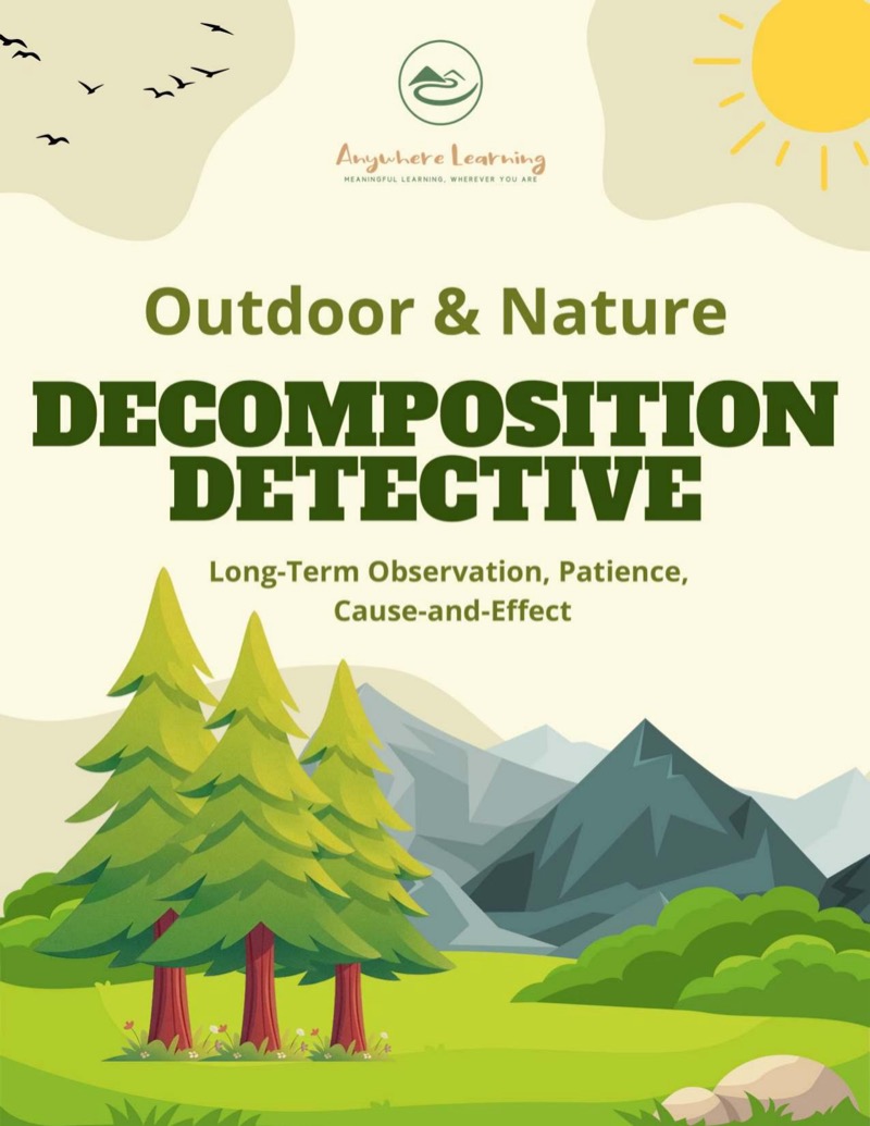 Decomposition Detective cover