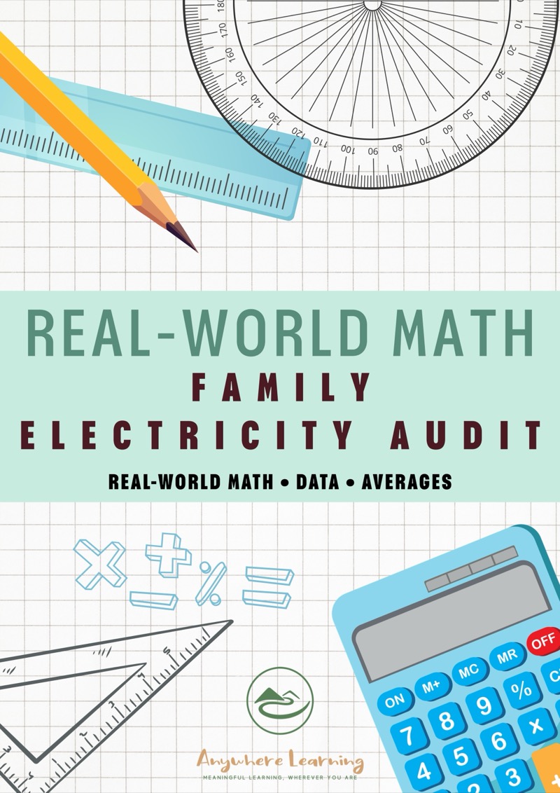 Family Electricity Audit